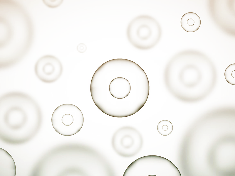 再生医療に特化