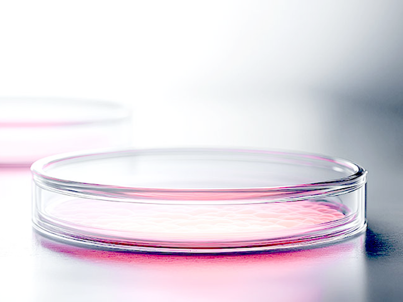 高品質な治療を提供